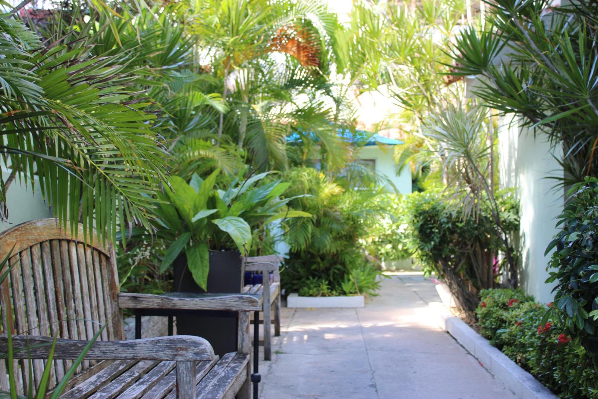 Numero Uno Beach Apartments San Juan Buitenkant foto