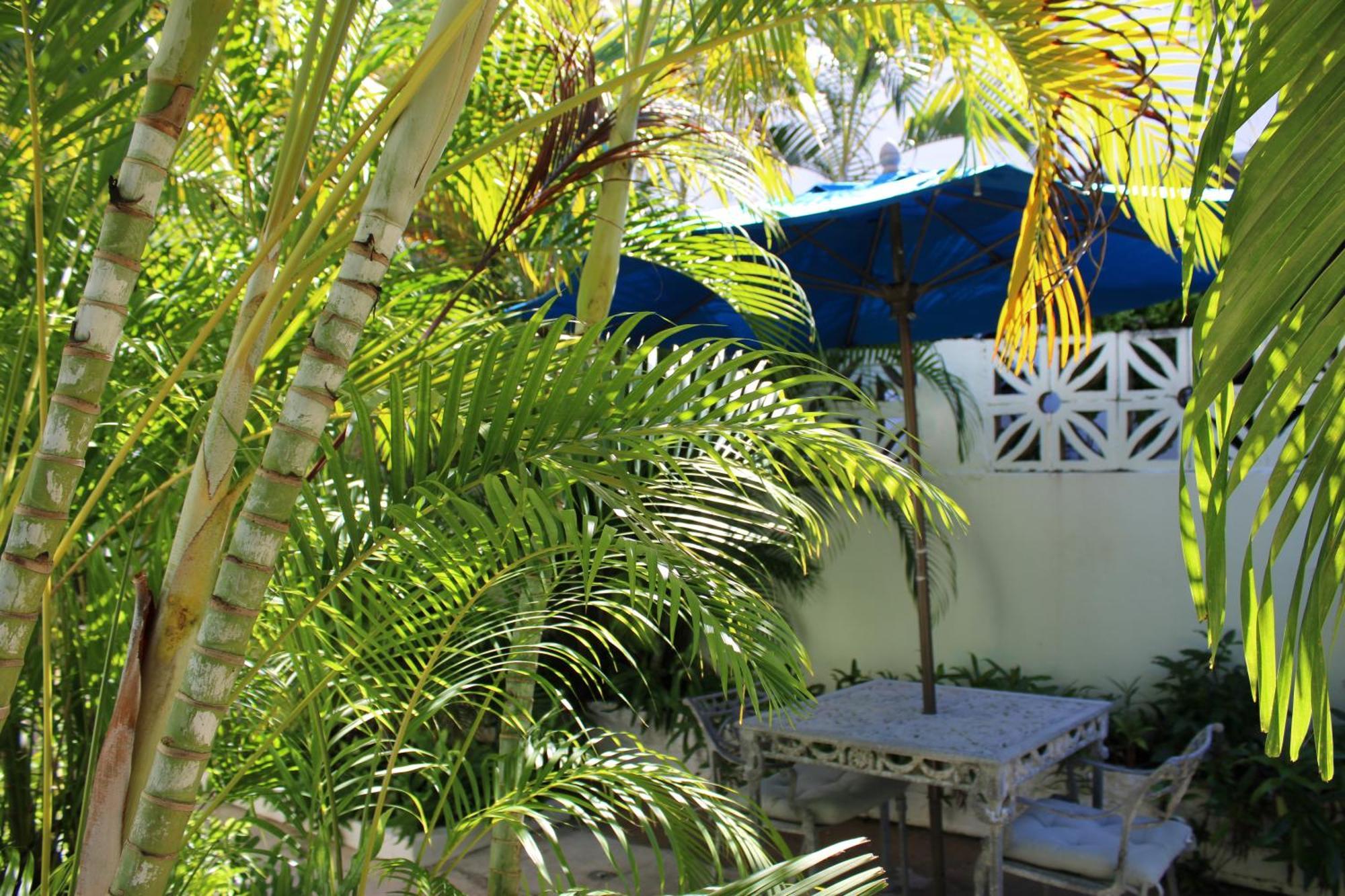 Numero Uno Beach Apartments San Juan Buitenkant foto