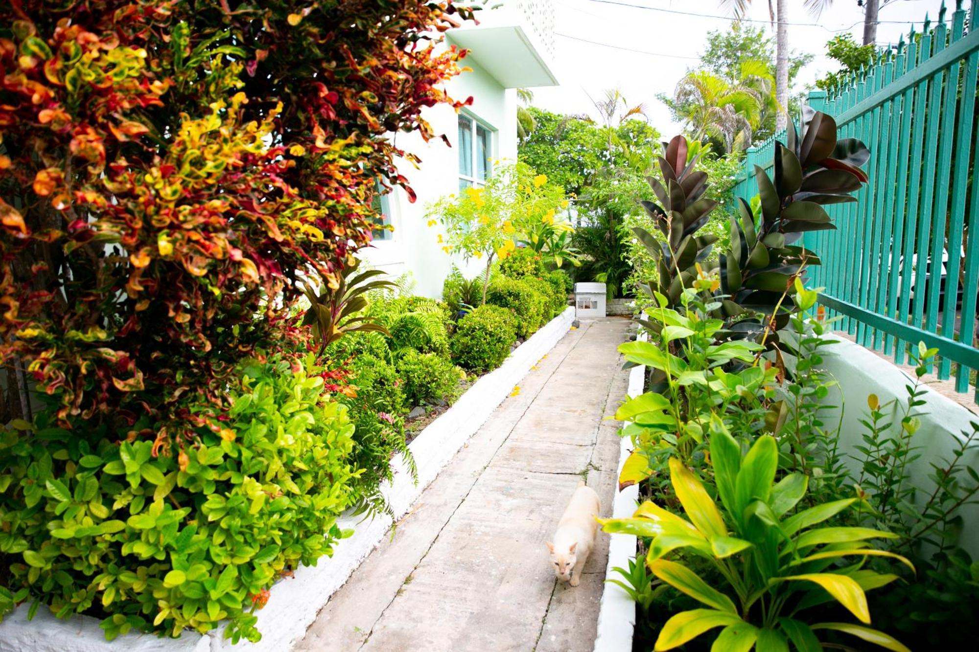 Numero Uno Beach Apartments San Juan Buitenkant foto